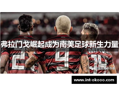 弗拉门戈崛起成为南美足球新生力量 弗拉门戈崛起成为南美足球新生力量